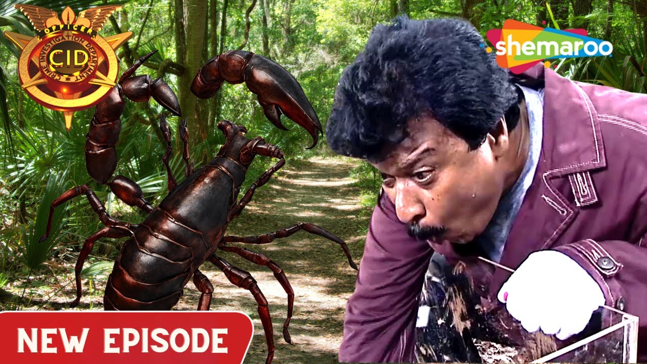 CID Inspector Freddy को काटा एक Scorpion ने | CID | सीआईडी | 26 November 2023