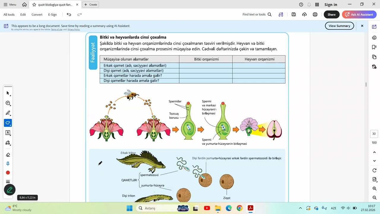 8ci sinif biologiya 6.2 Heyvanlarda cinsi coxalma ders izahi