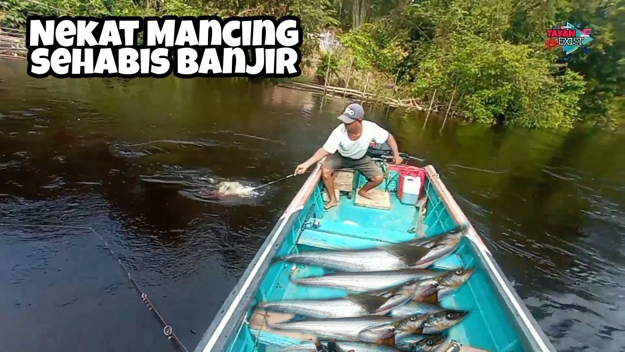 Luar biasa !!! Mancing ikan lais tembiring dengan tehnik legend dapat banyak