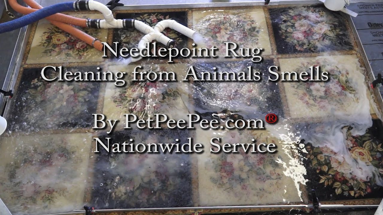 Needlepoint Rug cleaning from Animals Smells-