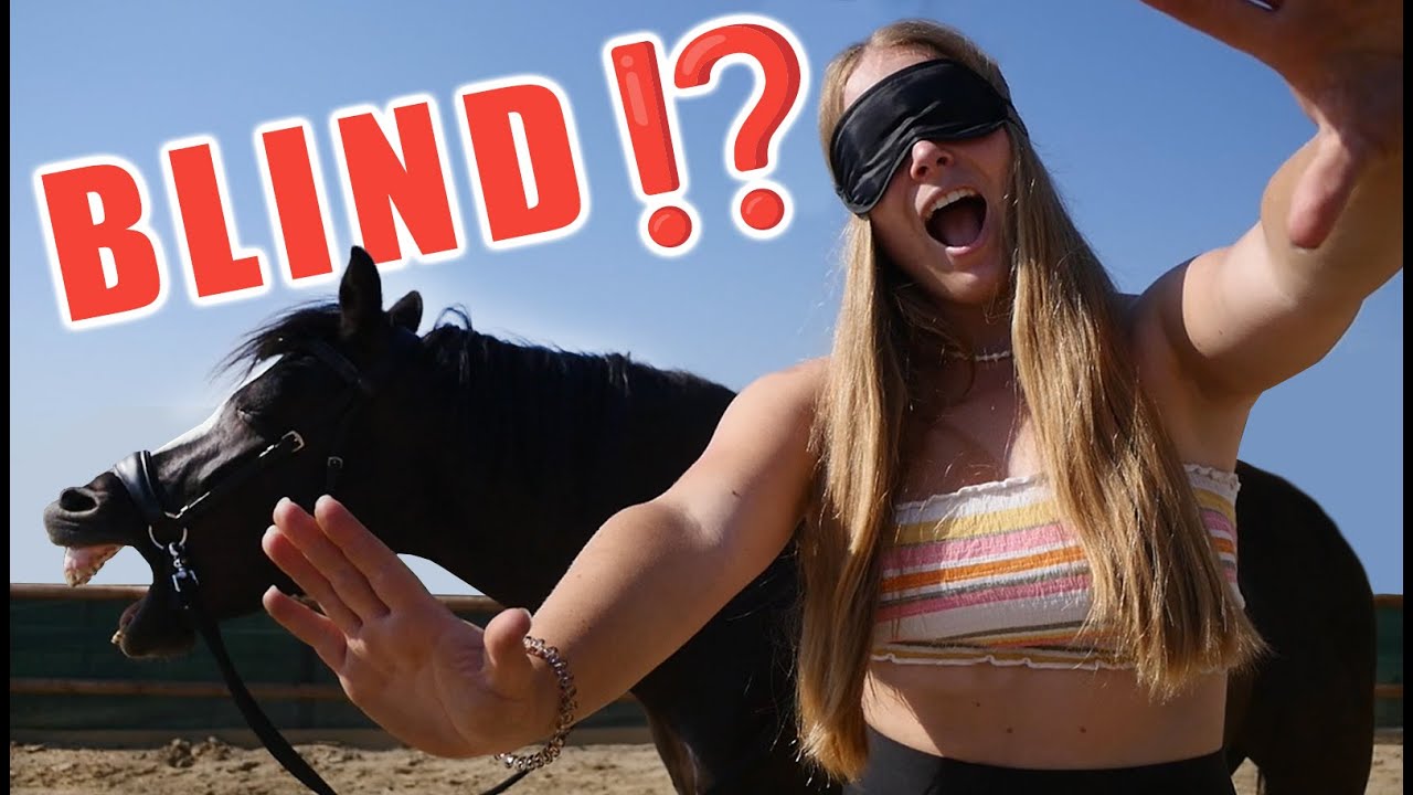 BLIND IM STALL & BLIND REITEN 😳⁉️