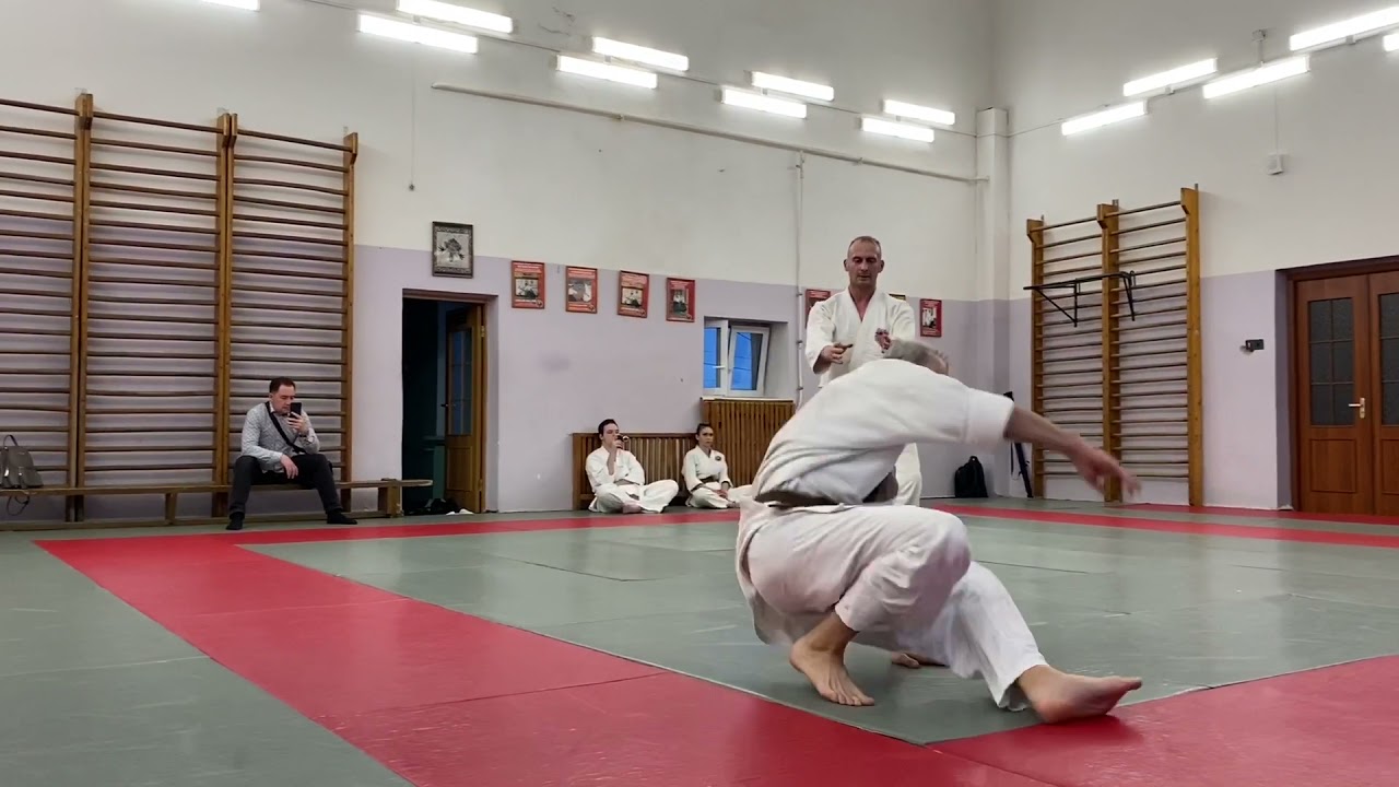 Репетиционный экзамен на 1 дан Ёсинкан Айкидо.