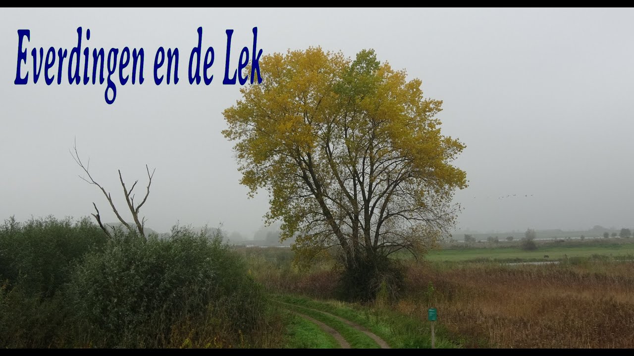 Everdingen en de Lek
