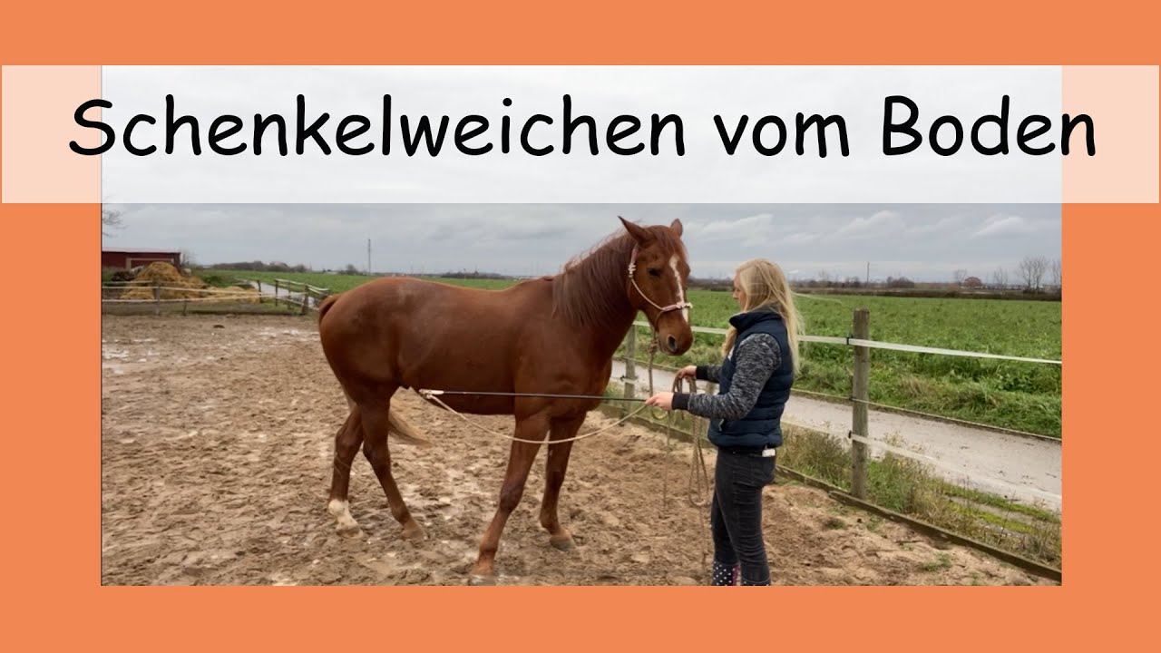 Gymnastizierende Arbeit vom Boden: Das Schenkelweichen
