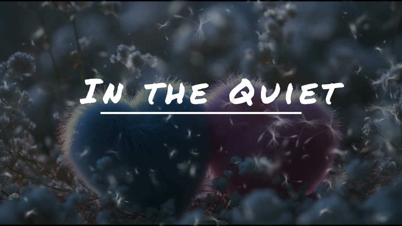 In the Quiet