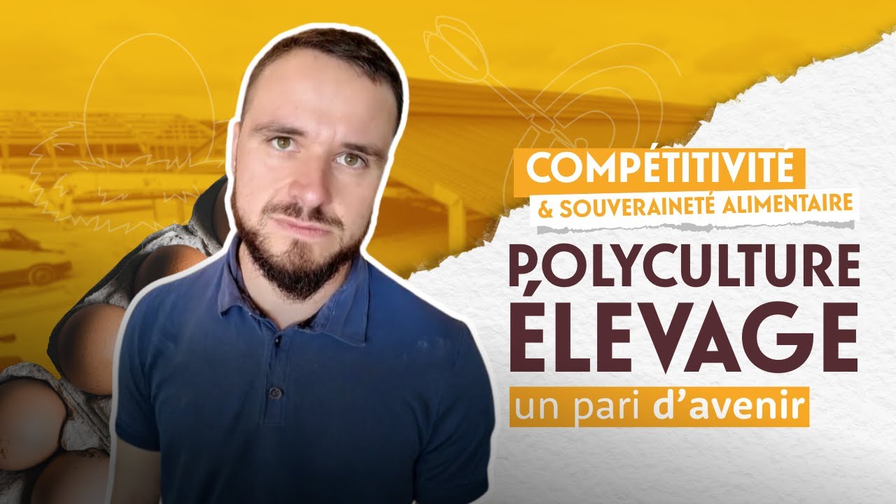 Agriculteur céréalier, Jérôme se lance dans la construction d'un bâtiment de pondeuses
