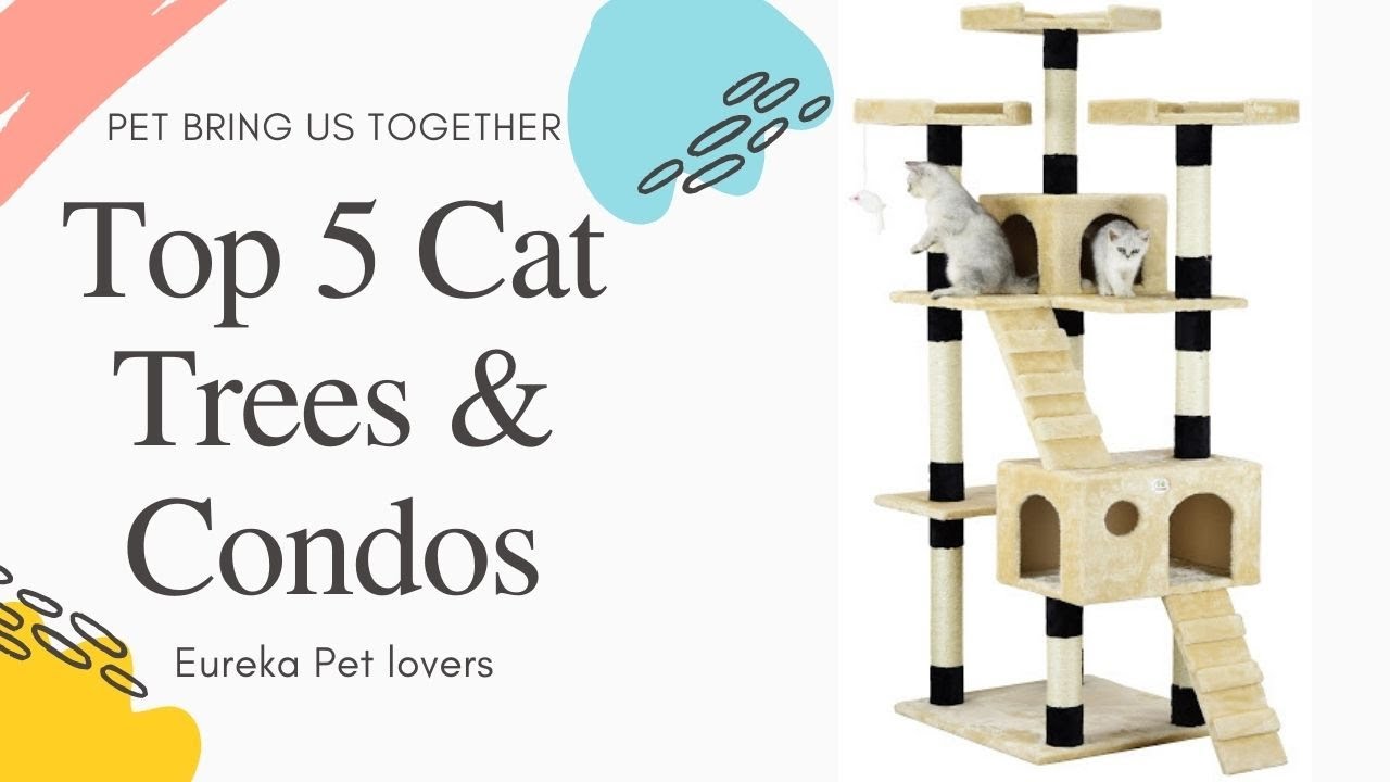 Top 5 Cat Trees & Condos | Amazon | AliExpress | Video | Review