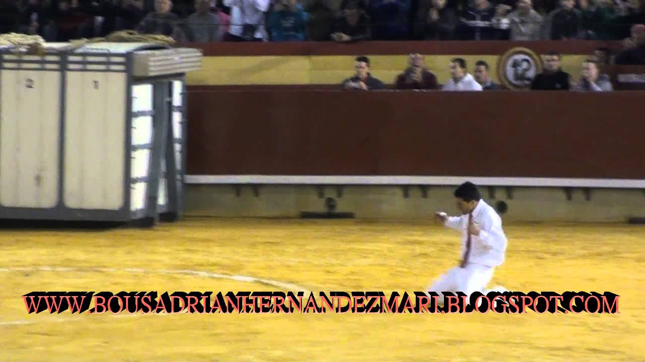 CASTELLON 16-3-2012 NICOLAS VERGONZEANNE SE SALTA AL TORO RATON