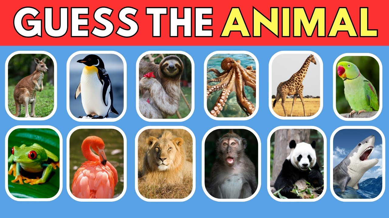 How Good Is Your Knowledge o ANIMALS?  🐯🐊General Knowledge Trivia Quiz |QUIZ POPPINS
