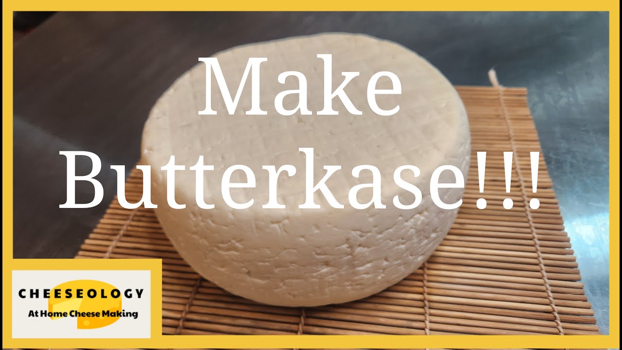 Make German Butterkase cheese at home!