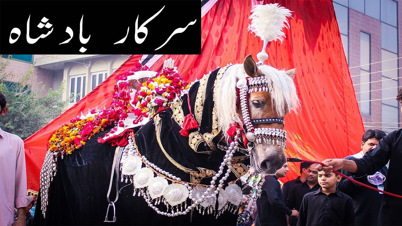 Zuljanah (Sarkar Badshah) | Jaloos Chehlum Imam Hussain a.s 2017 | Attock | Azadari Attock
