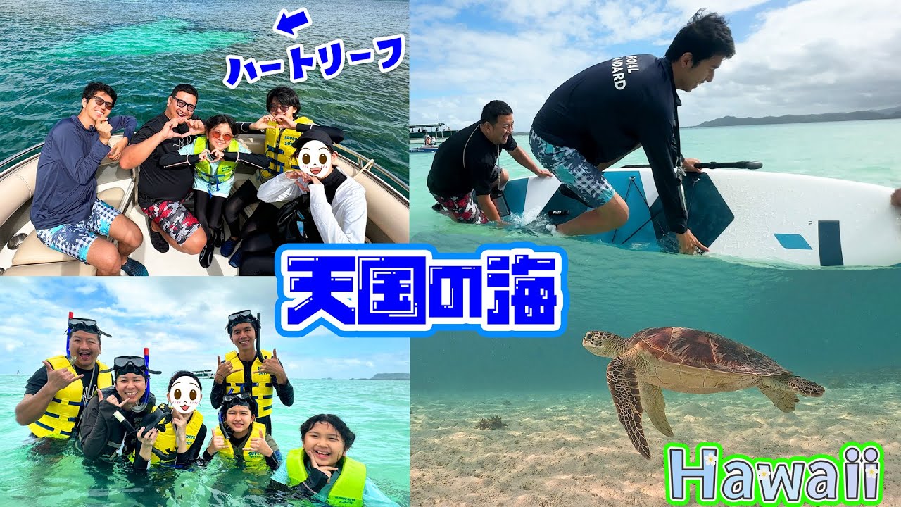 天国の海に行ってきた！カメと泳ぐ♪2023年末ハワイ🌺家族旅行⑩himawari-CH