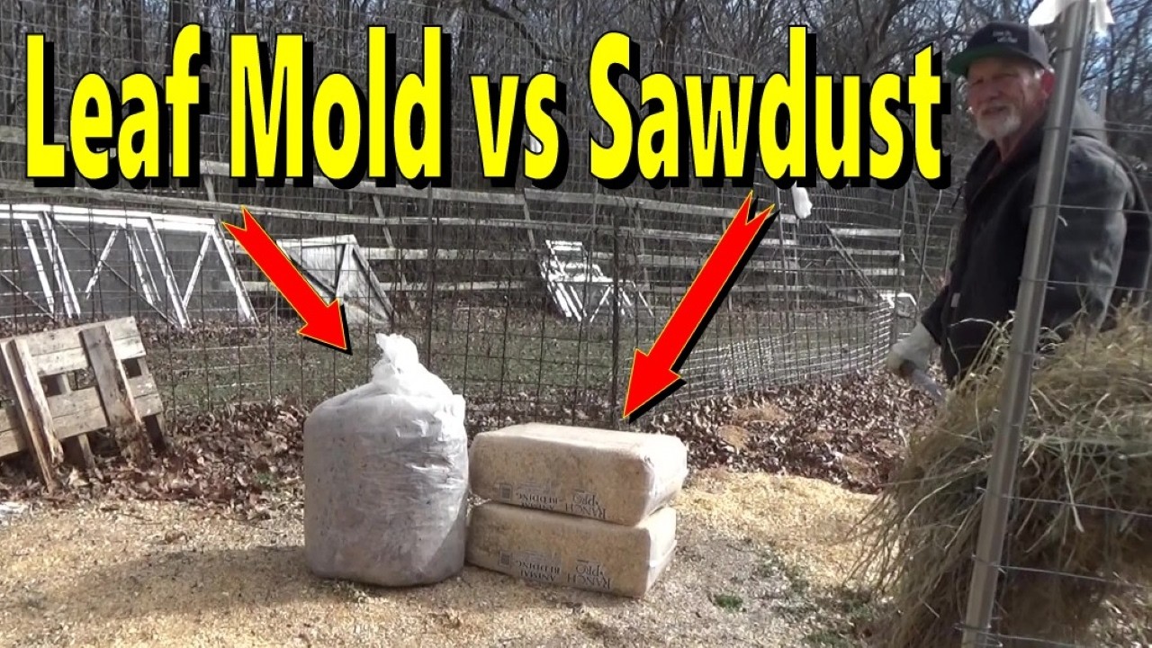 Is Sawdust or Leaf Mold a Good Mulch For Your Garden