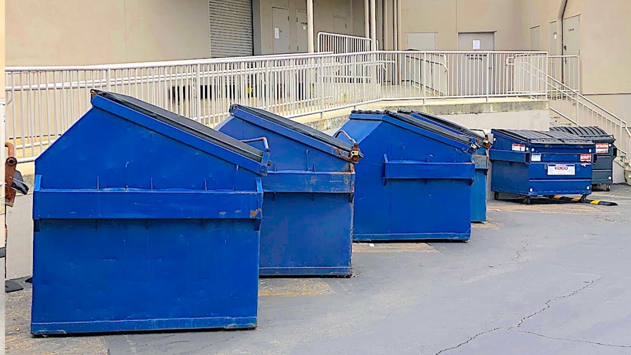 DUMPSTER DIVING- What Can I Save From Going To The Landfill Today?
