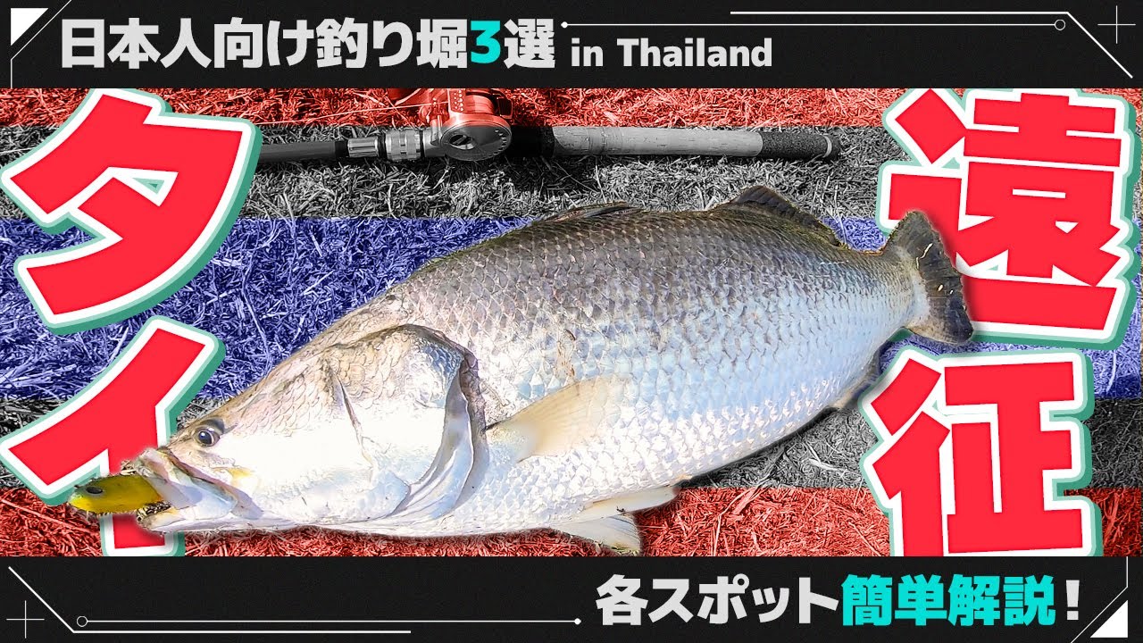 タイの魚はデカいのばっかwおすすめ釣り堀3つ巡って大満足の海外遠征!