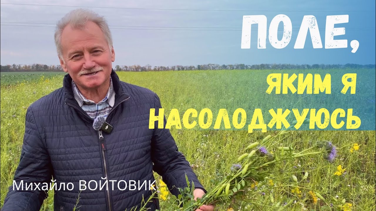 Поле, яке цвіте восени: покривні культури, що оживляють ґрунт 🌱