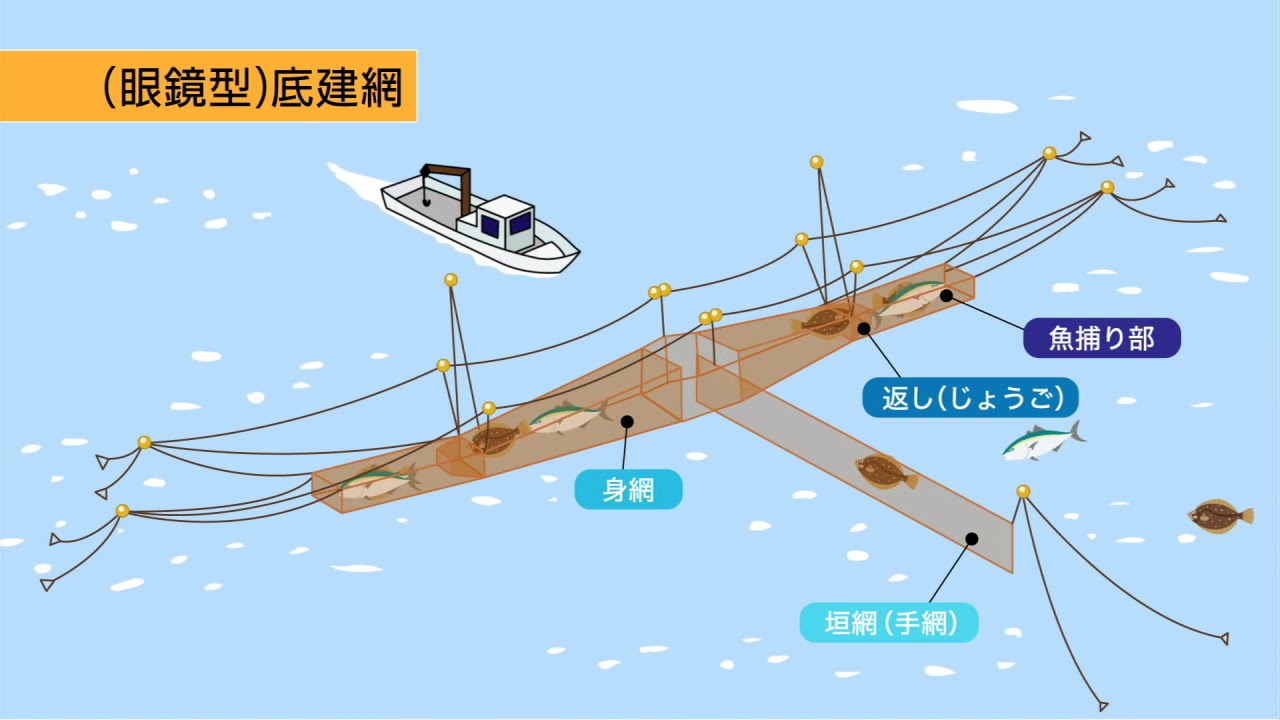 底建網　ー　青森下北・津軽海峡　佐井村の漁法