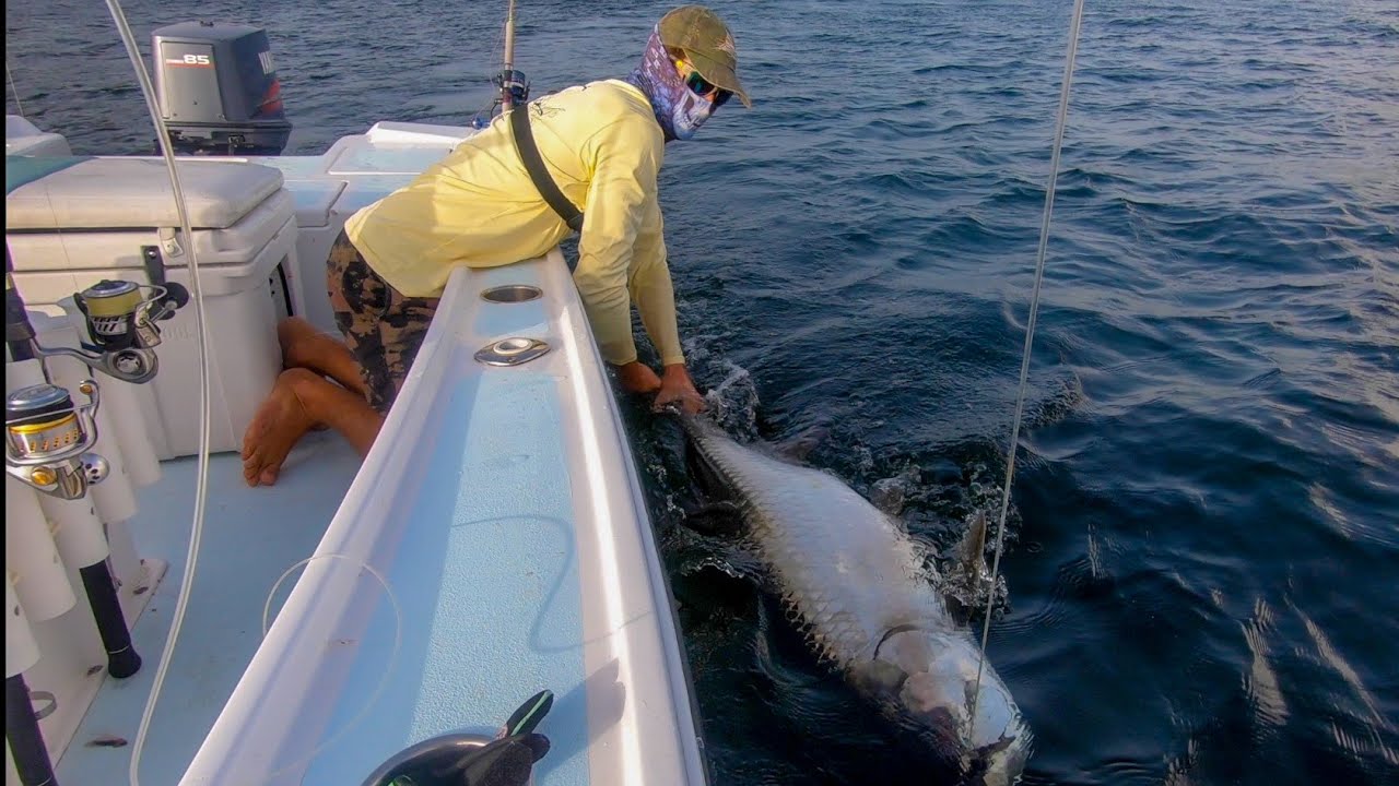 When LURES don't work use REAL BAIT!