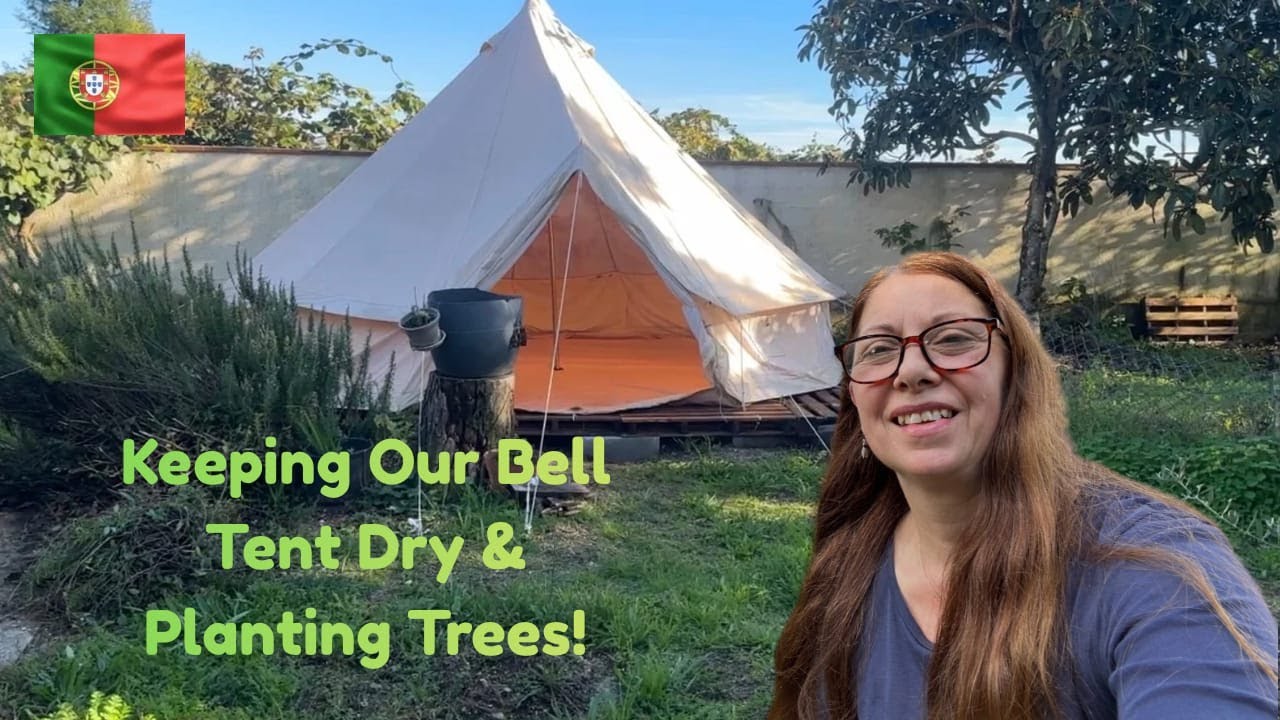 WINTER RAINY SEASON IN PORTUGAL - A BELL TENT | LAND CLEARING AND PLANTING TREES AFTER WILDFIRES