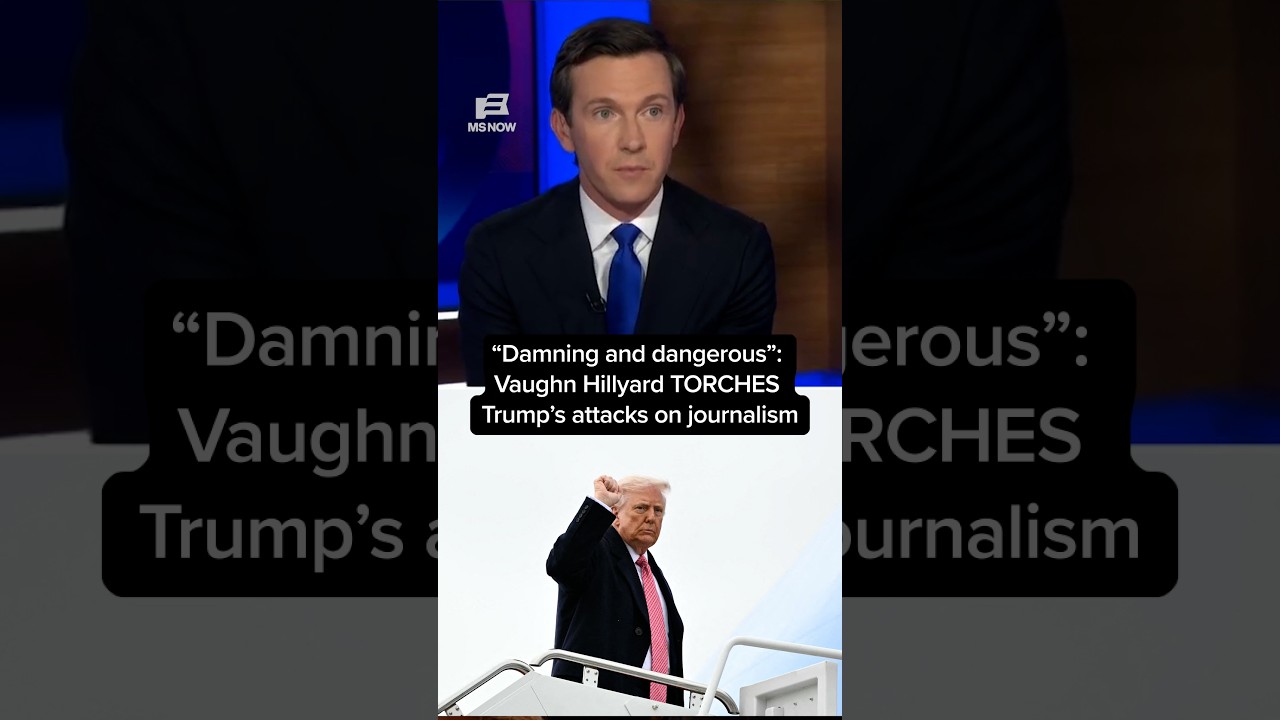 'Damning and dangerous': Vaughn Hillyard TORCHES Trump&rsquo;s attacks on journalism