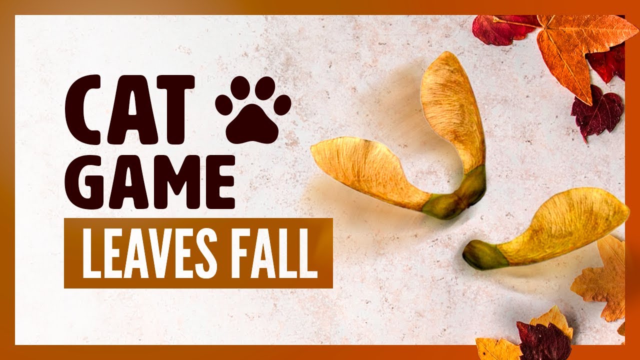 CAT GAMES : Maple seeds for cats to watch. Leaves fall and forest sounds