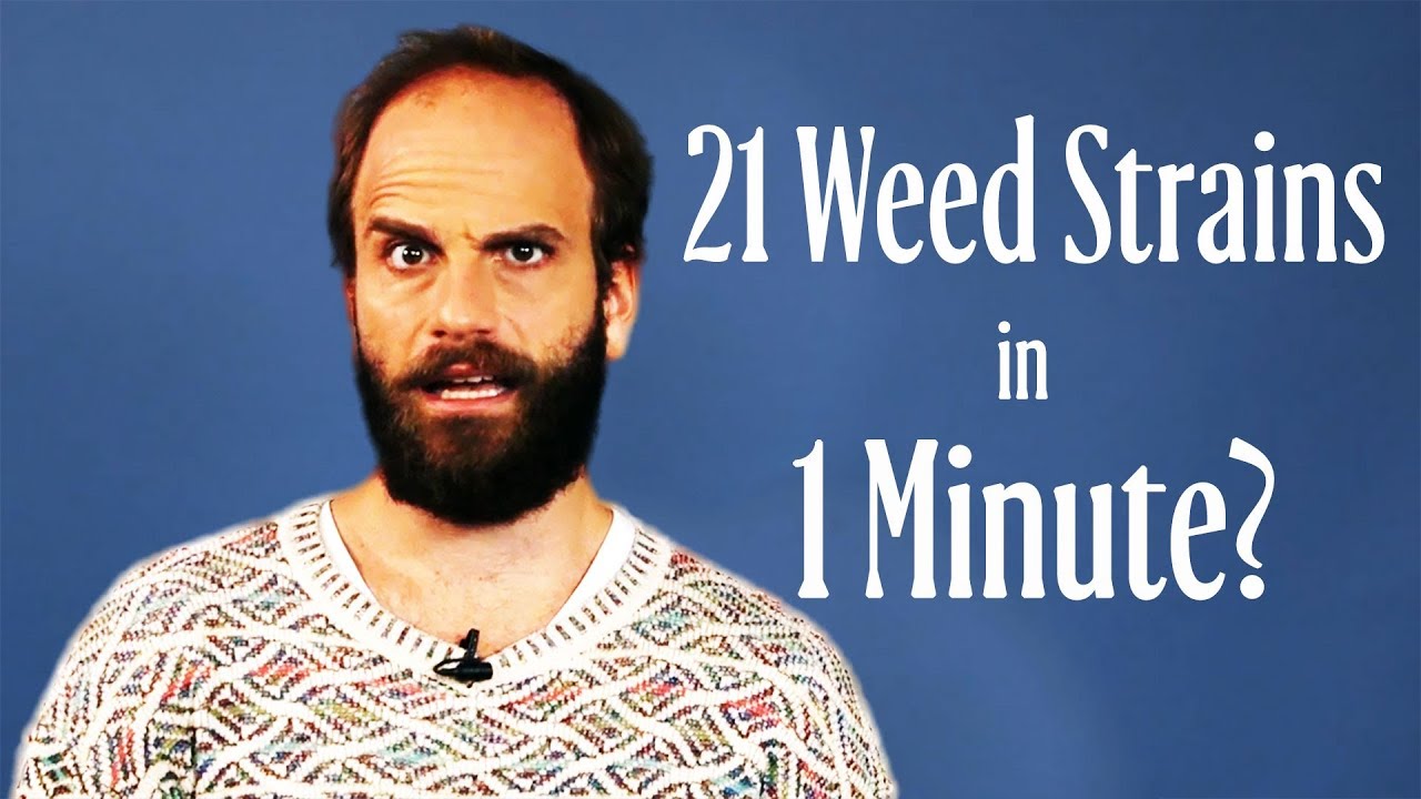 High Maintenance Star Ben Sinclair Tries to Name All Weed Strains in 1 Minute | W Magazine