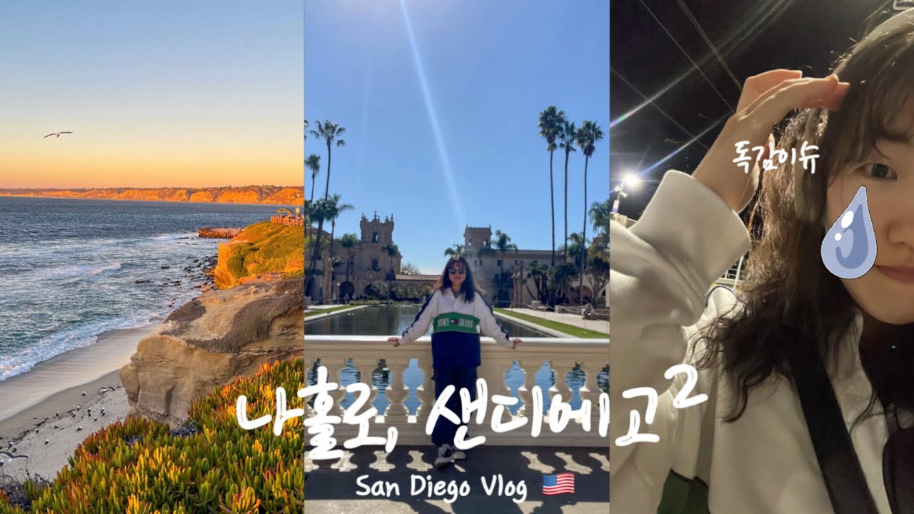 🇺🇸혼자 떠난 샌디에고 여행 브이로그 2 | 독감인줄 모르고 떠났슨.. | 라호야코브 | 발보아파크 | 육대장 | H마트 | Palihotel | 처음보는 수동 엘레베이터