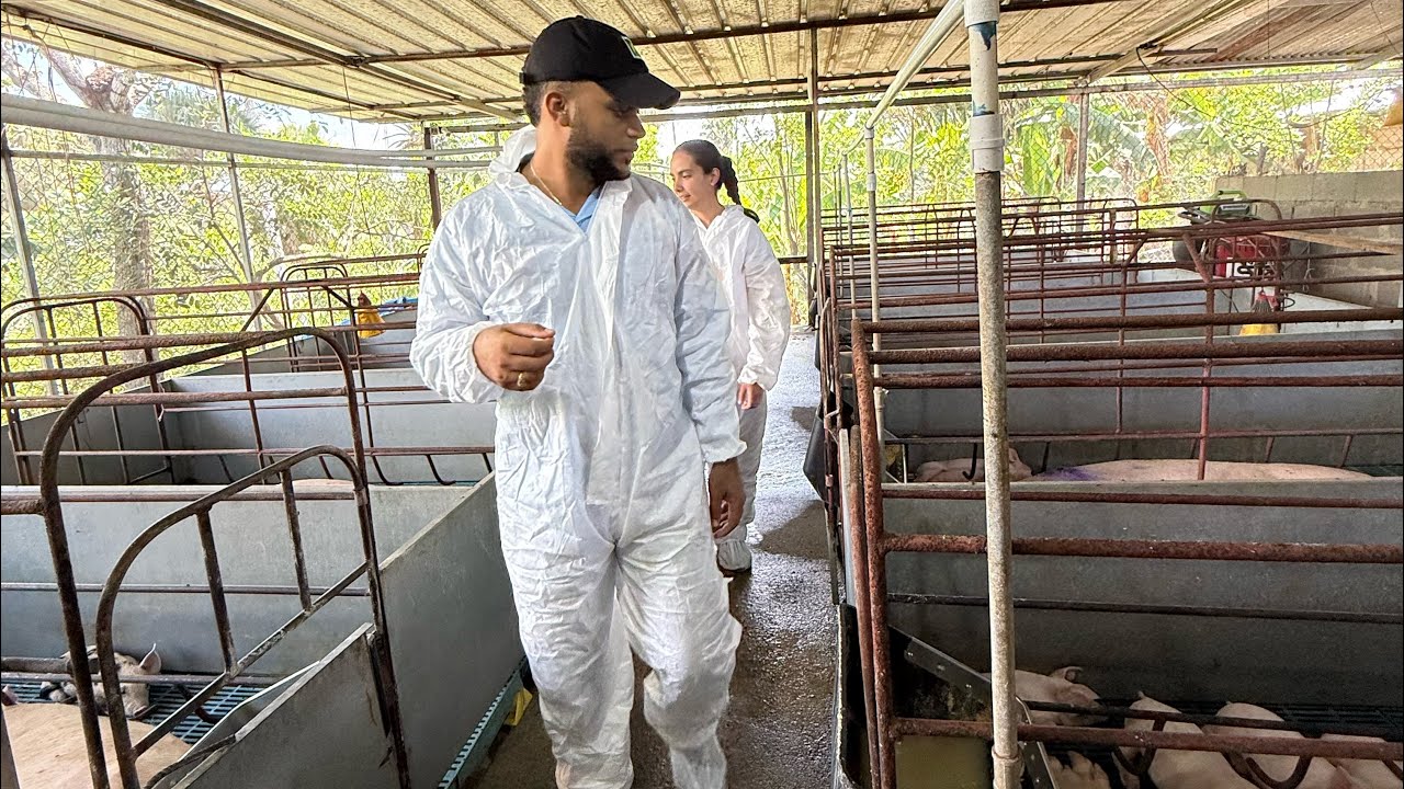 Esta granja QUEBRÓ y la recupere EN cama profunda 