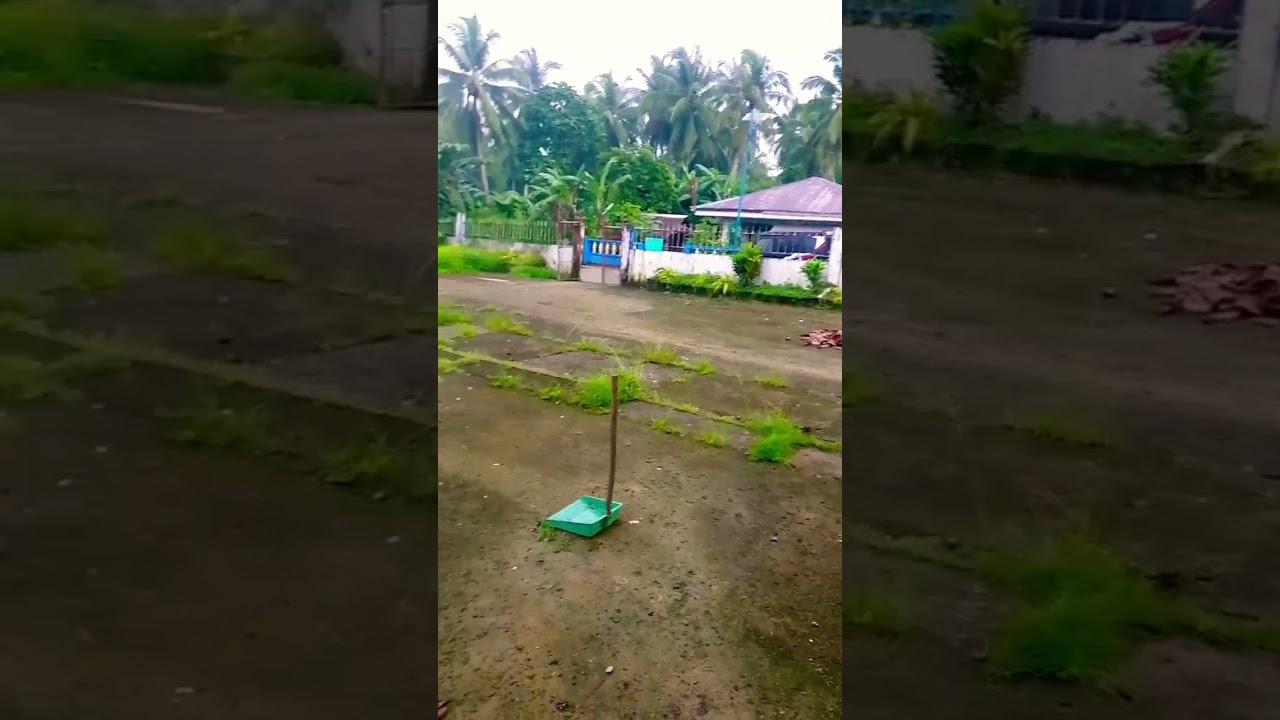 park 🏞️🏞️ cleaning 🌿🌿🌴🌴💚 #subsribetomychannel #youtubervideo