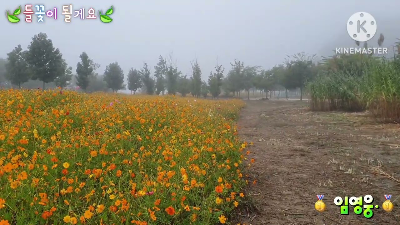 🌿들꽃이 될게요 🥇임영웅 🪻거창 창포원 