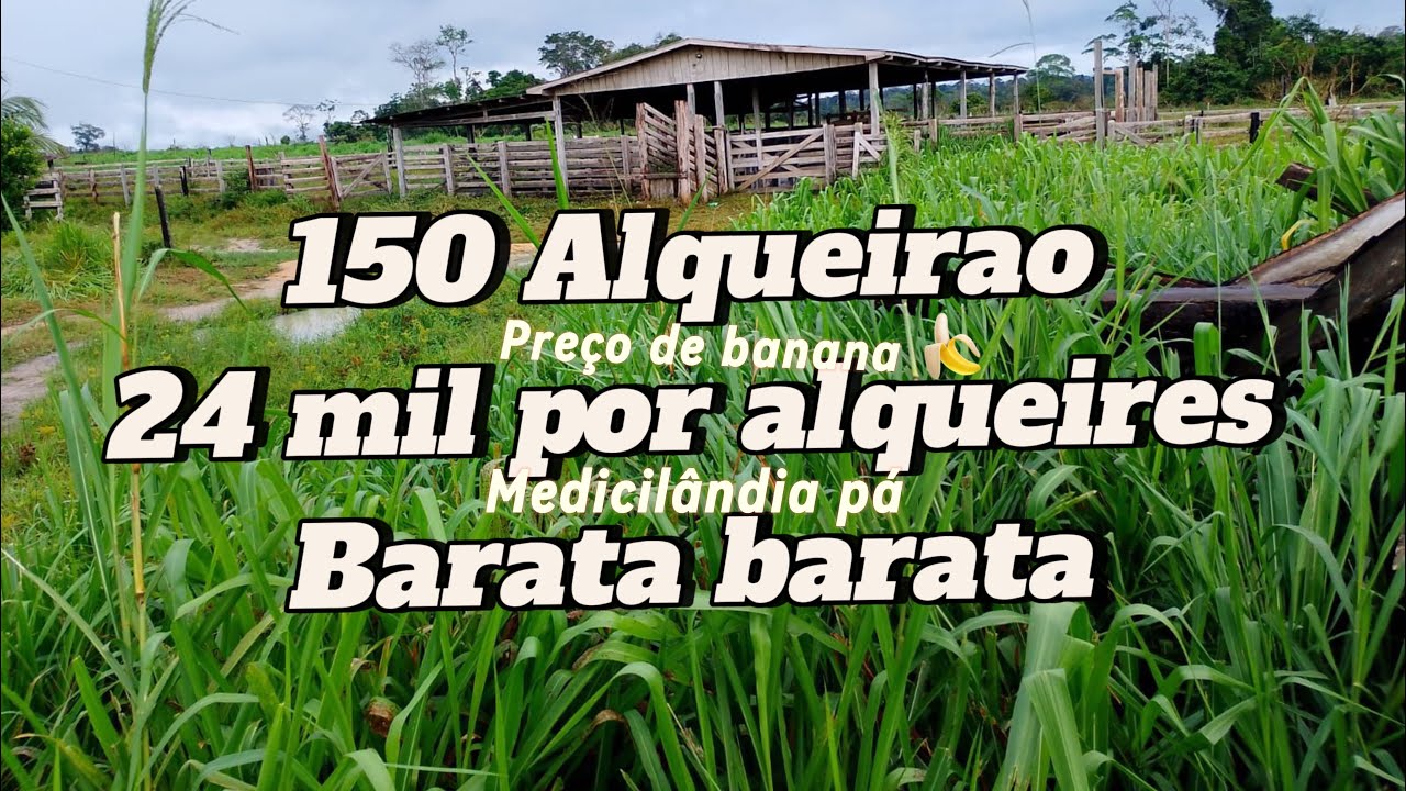 Fazenda mais barata da região 😳 150 alqueires na região de Medicilândia pá 😳😱