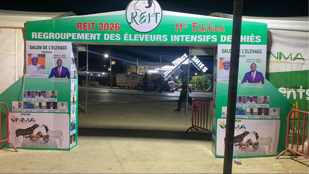 ARRIVÉE SPECTACULAIRE DES LADOUMS À LA FOIRE REIT DE THIES 2026