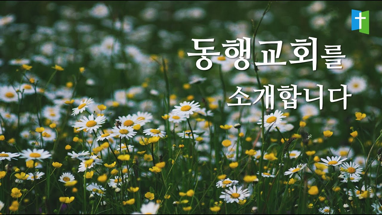 2022 동행교회_소개영상 ∥설립8주년 감사예배