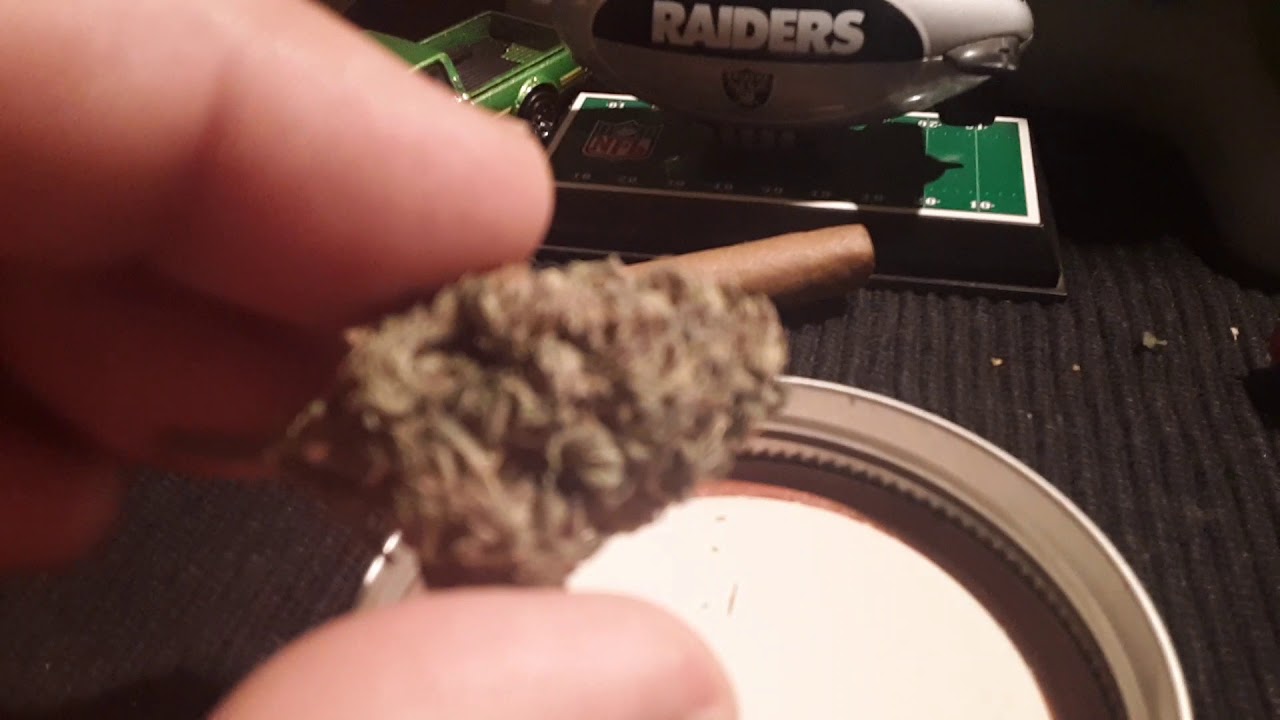 Zombie kush outdoor review