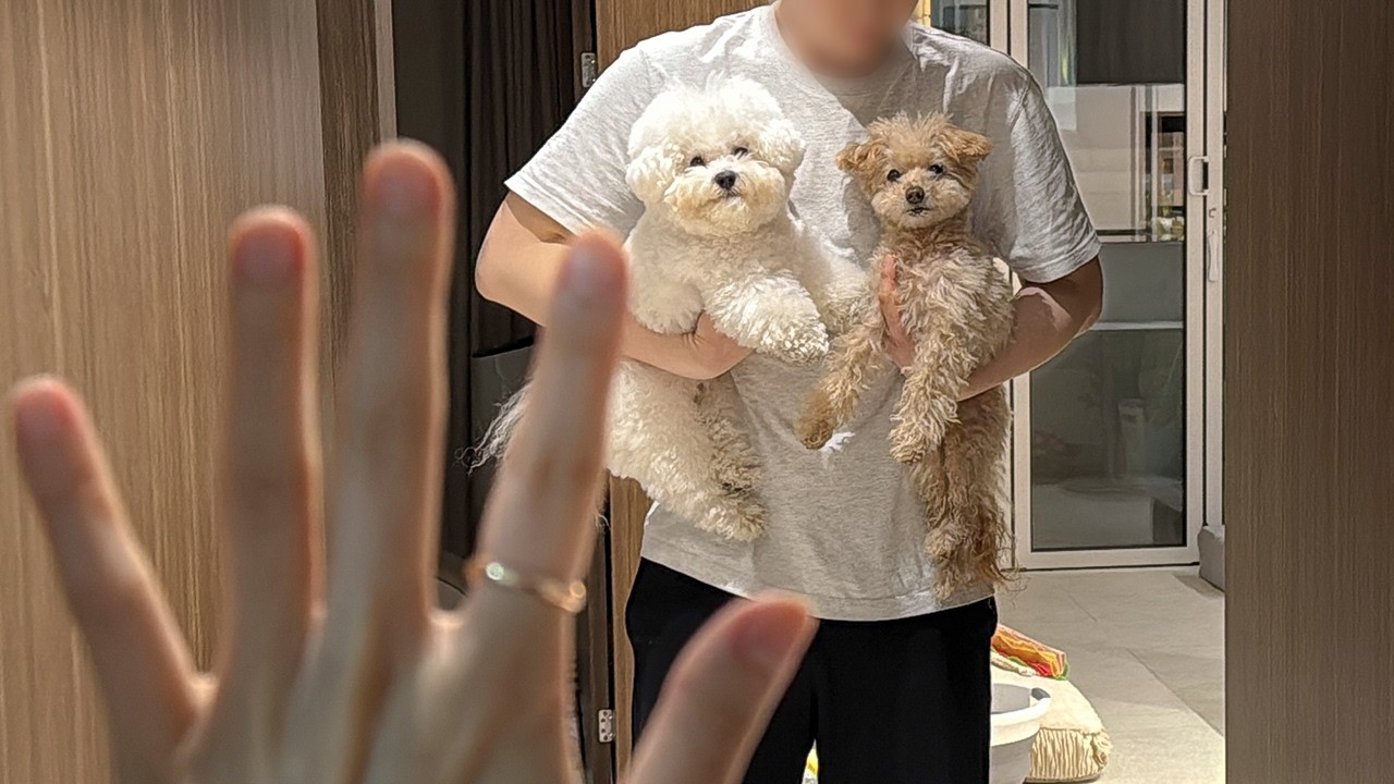 엄마가 집에 없다…! 강아지들은 아빠랑 잘 지낼 수 있을까