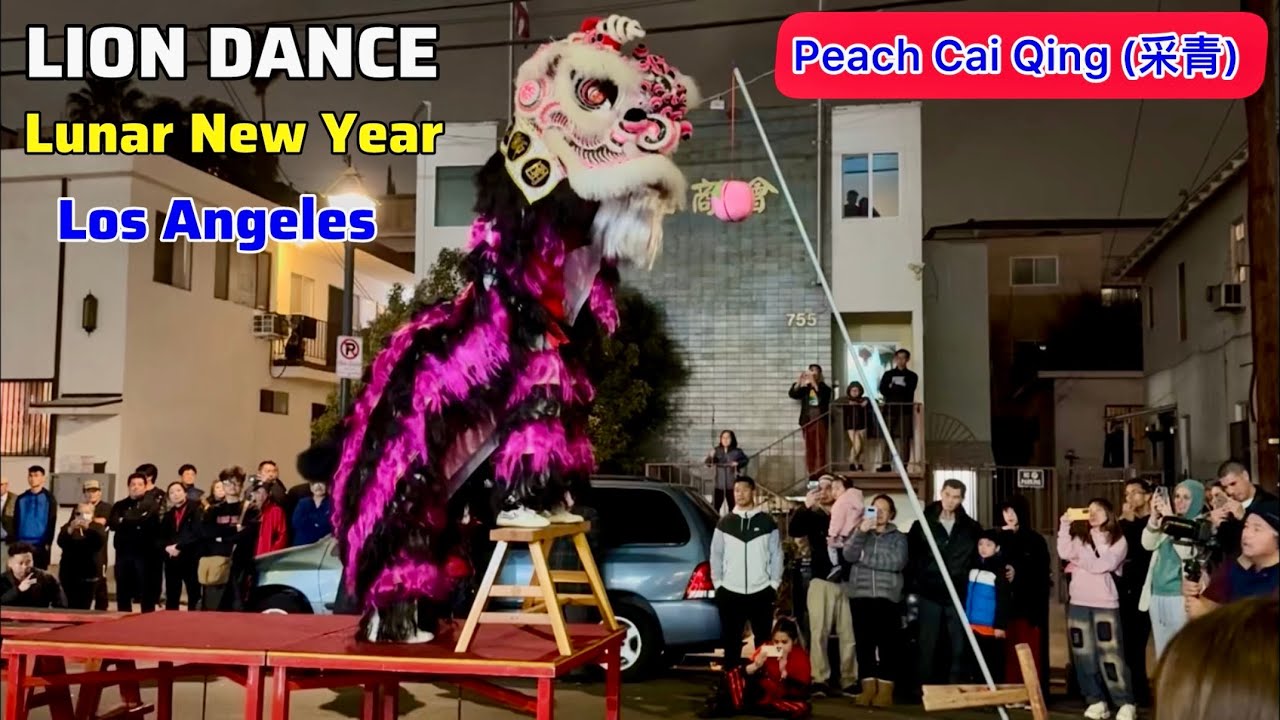 ［FULL］ Immortals Traditional Lion Dance - Peach Cai Qing (采青)  仙樂醒獅團｜Lunar New Year 2025