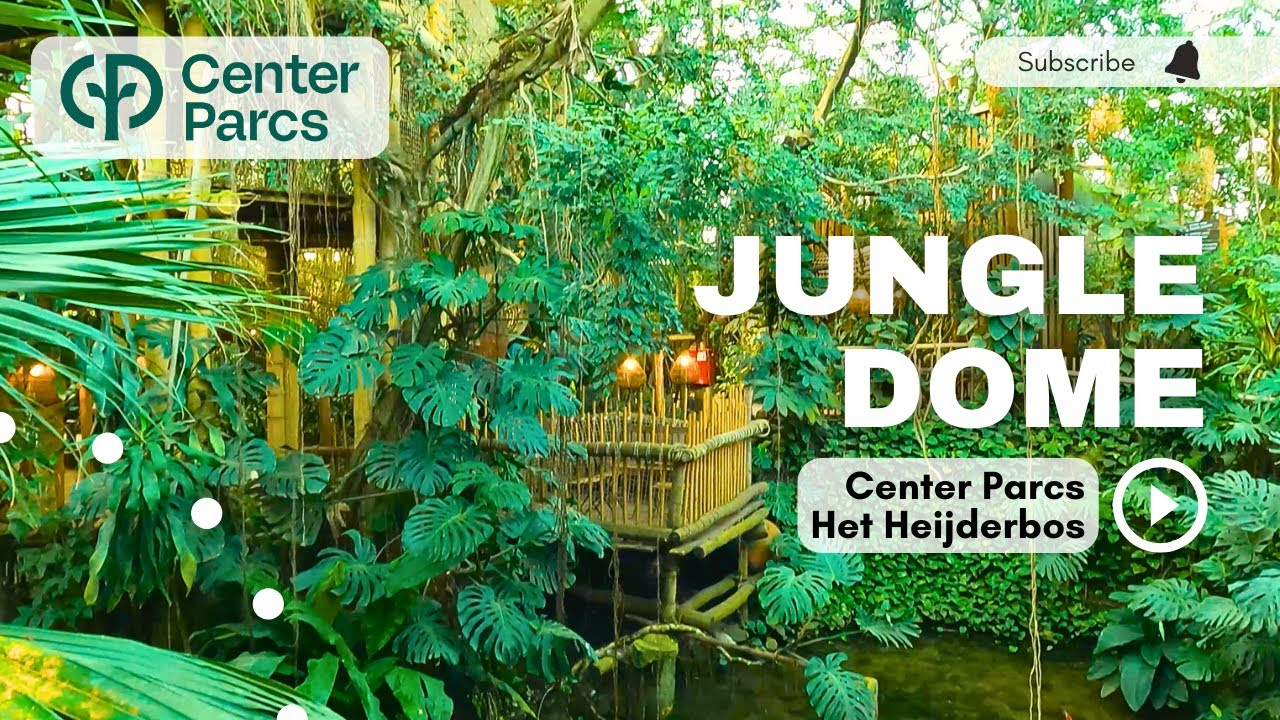 Op avontuur in de Jungle Dome indoor speelwereld op Center Parcs Het Heijderbos