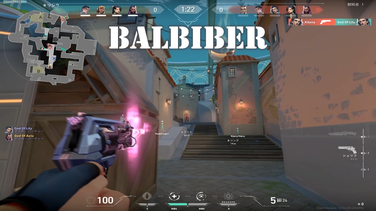 Balbiber