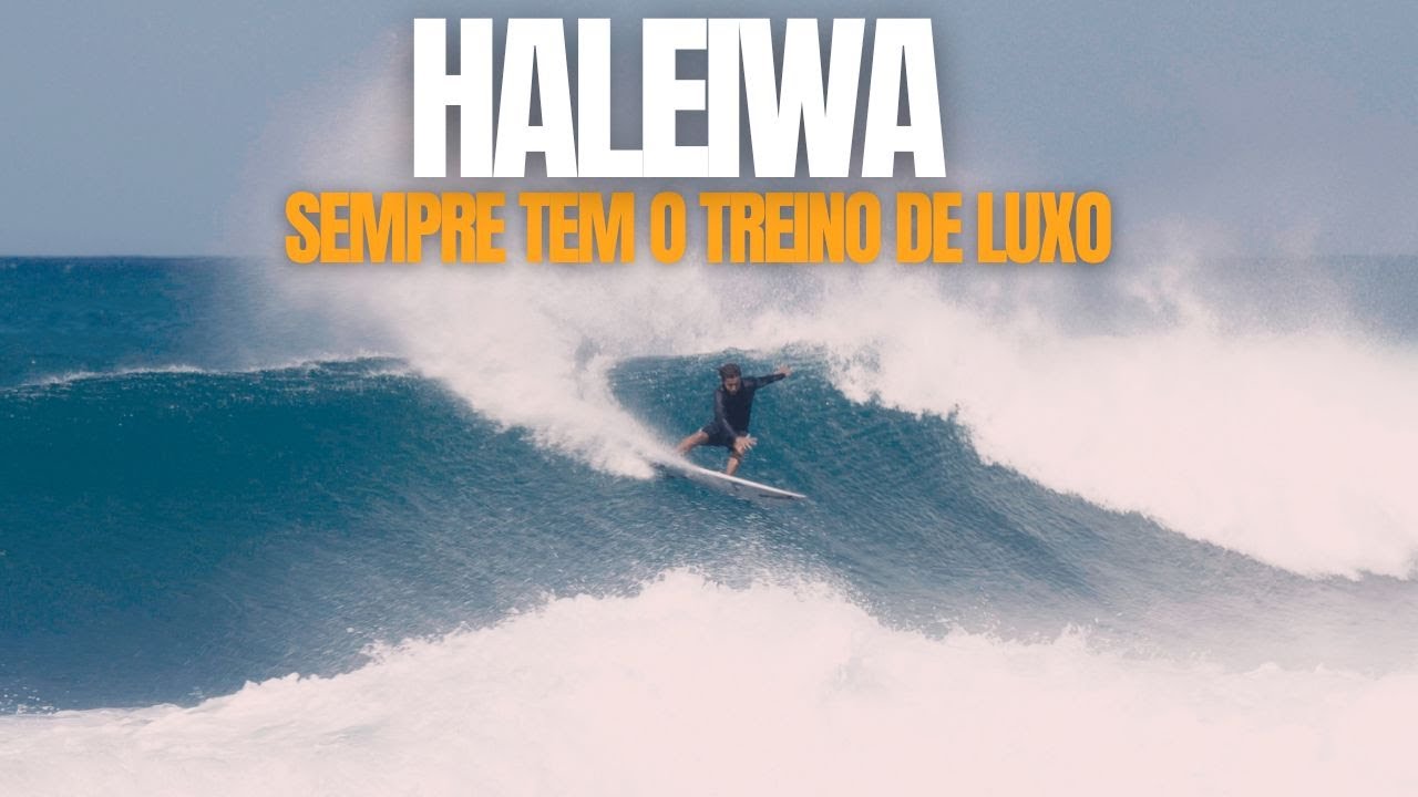 HALEIWA E SUAS DIREITAS PODEROSAS