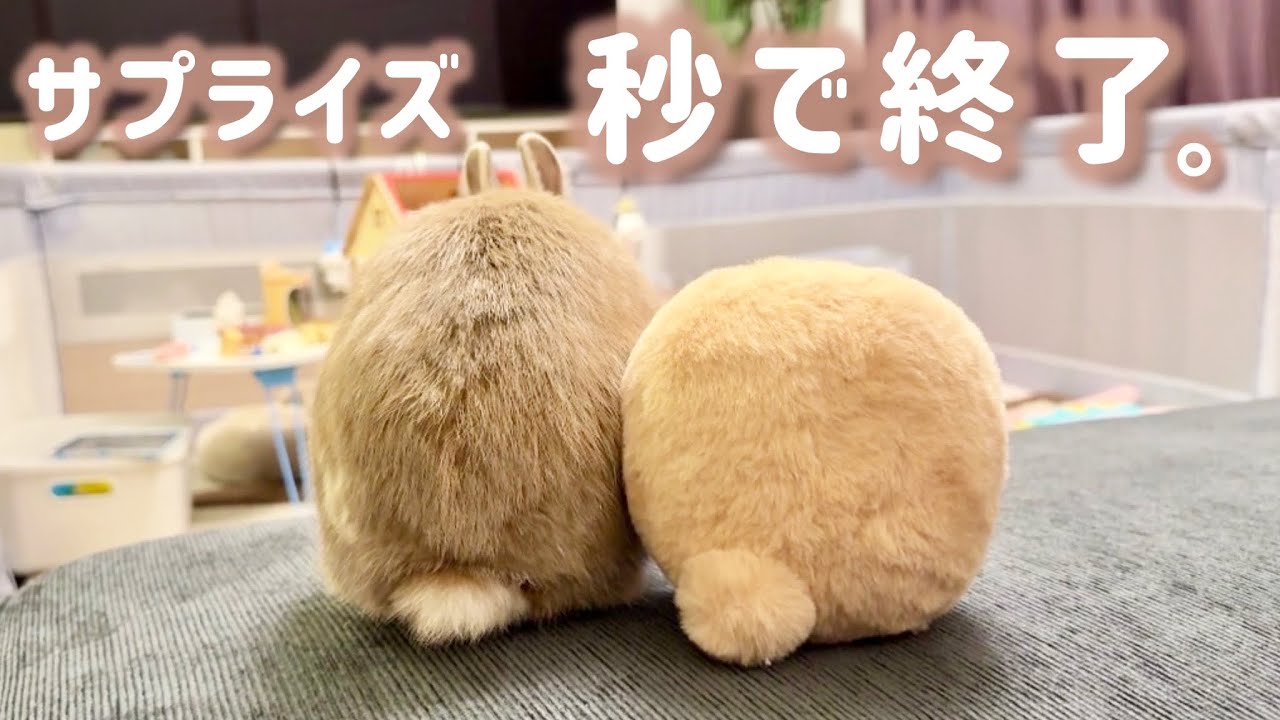友達より手作りケーキに大興奮のうさぎ、サプライズをしれっと邪魔する主役が最高すぎる。｜4歳の誕生日