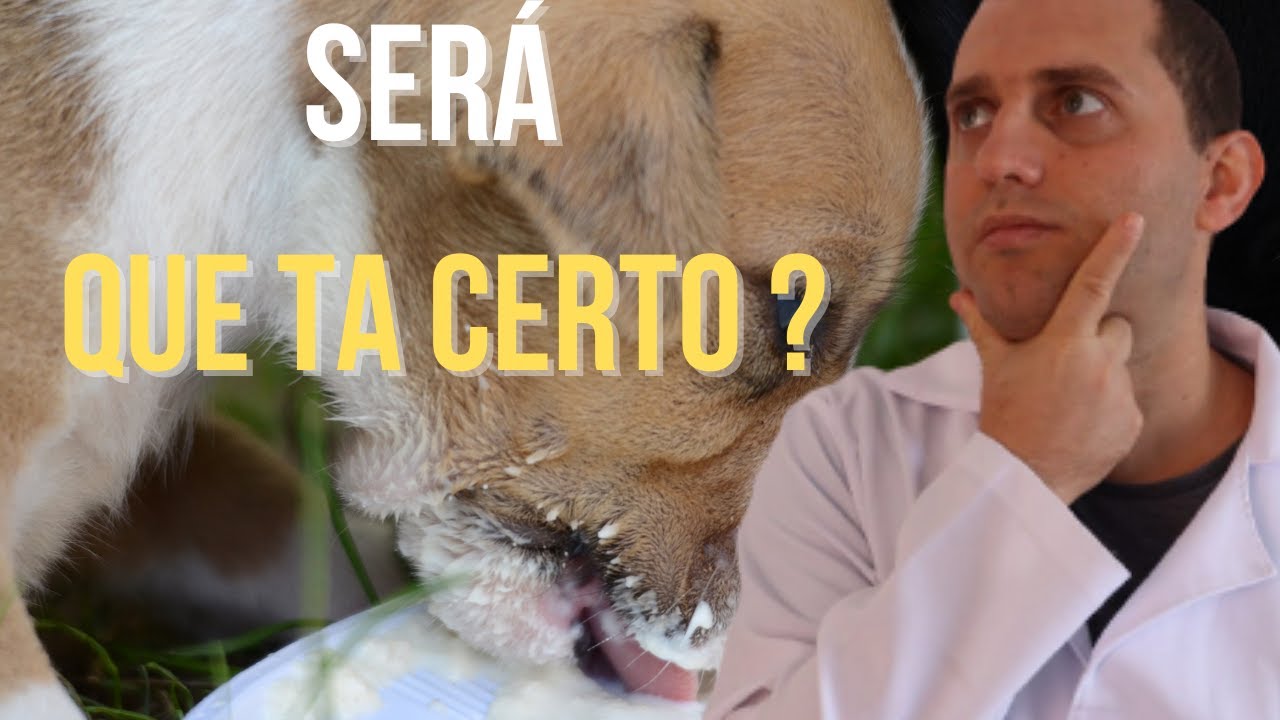 Posso dar leite 🥛 para cachorro ?