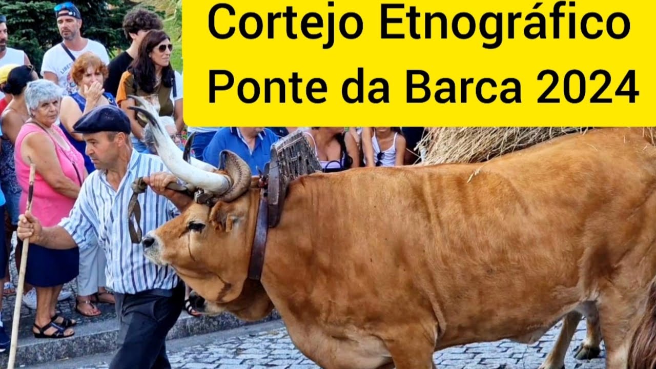 CORTEJO ETENOGRÁFICO  SÃO BARTOLOMEU  2024