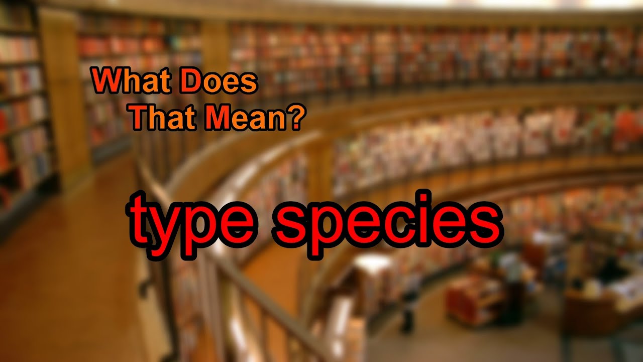What does type species mean?