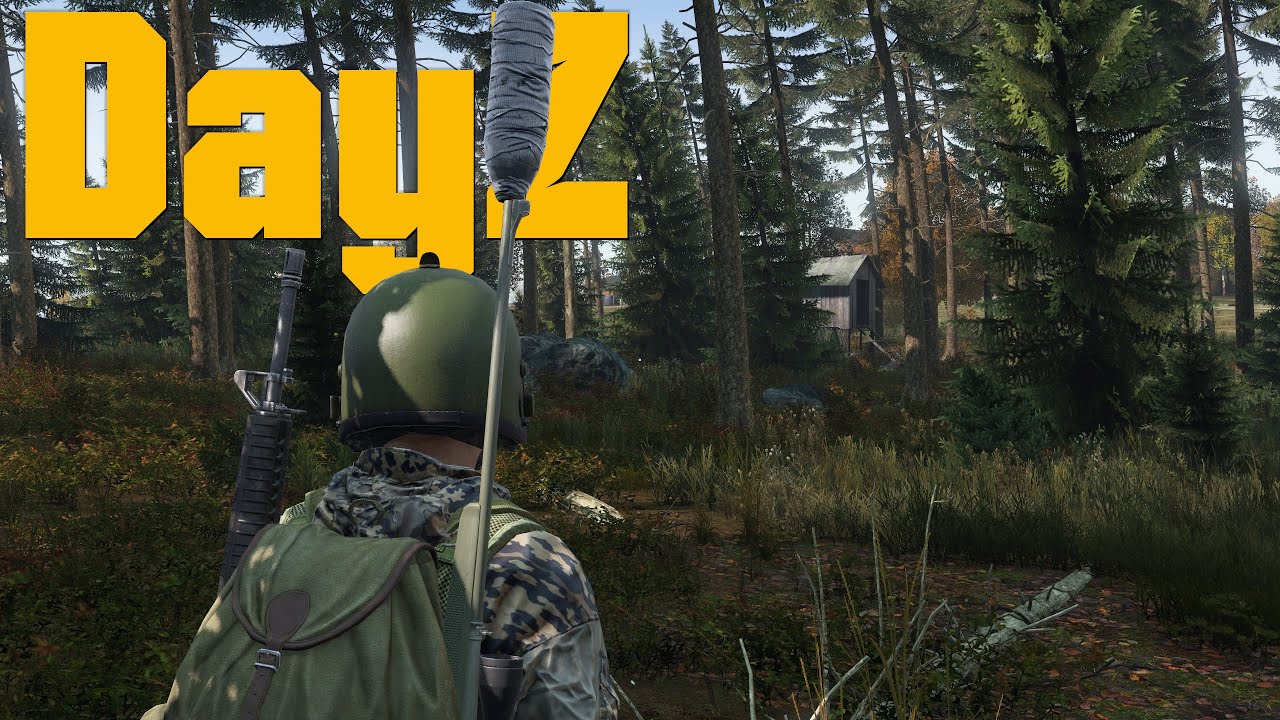 DayZ Vanilla Official In 2025 (1.28)
