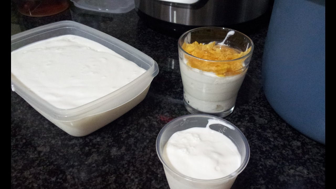 Yogurt natural en olla GM G