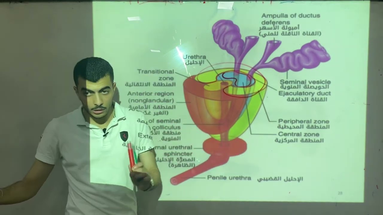 الفصل الثامن | الموثة |
