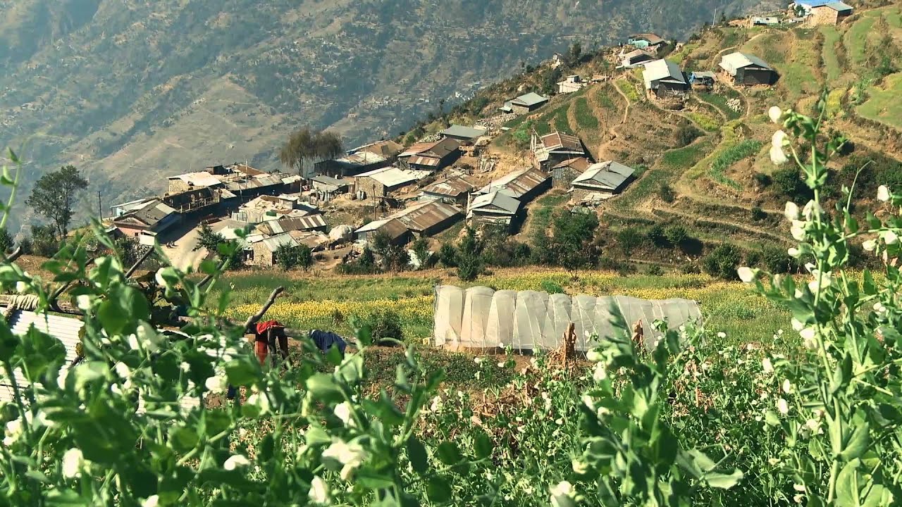 Climate Change Adaptation (Langtang)