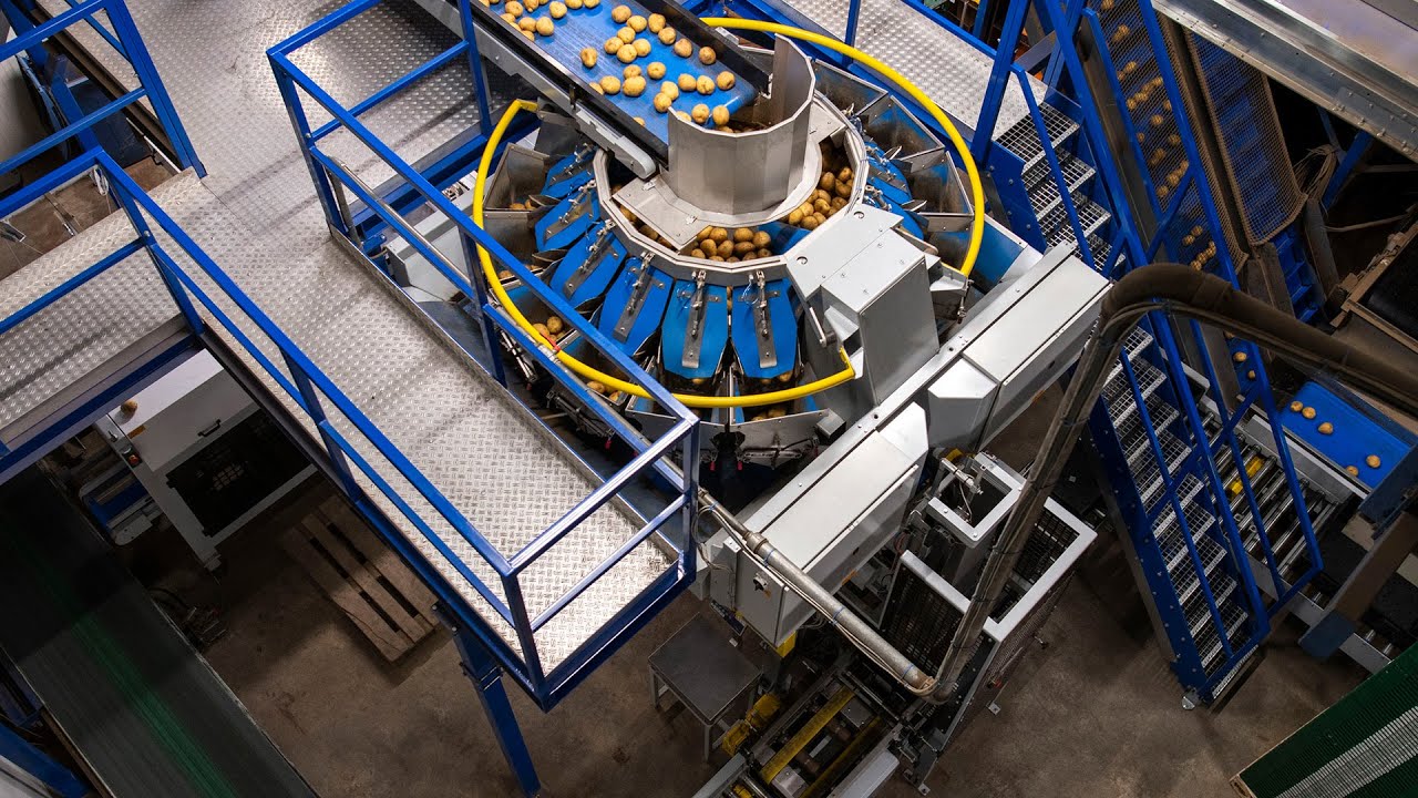 Packing Quik’s Potatoes
