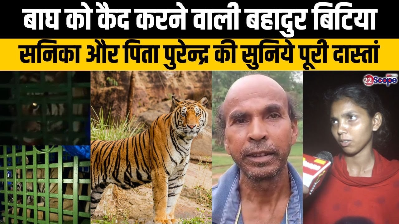 बाघ को कैद करने वाली बिटिया सनिका महतो को वन विभाग दे नौकरी, पिता पुरेन्द्र महतो को मिले पुरस्कार