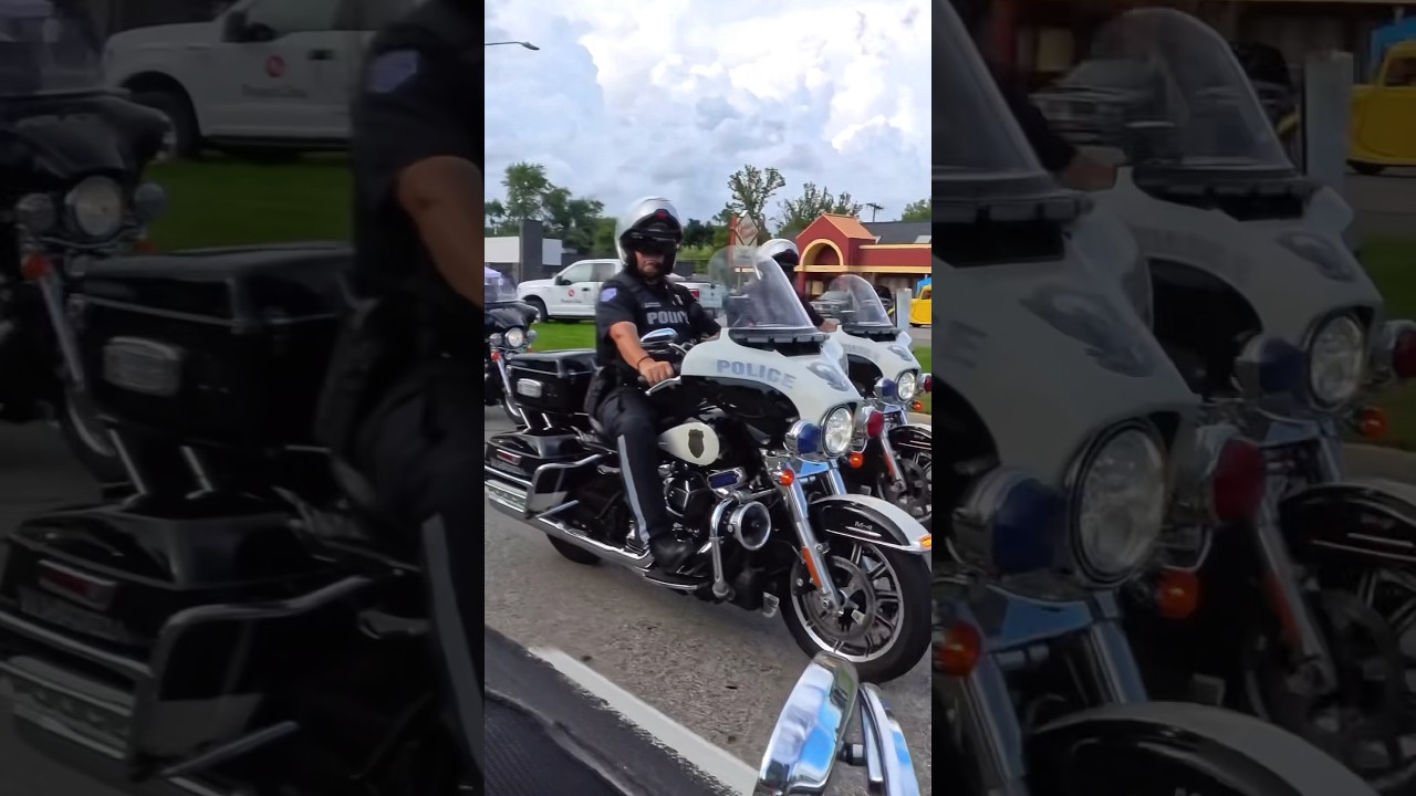 Big dawgs👊🏻Woodward Dream Cruise #police